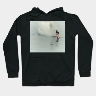 THE ROYALS LIKE SWANNING AROUND..! Hoodie